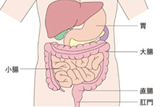 短腸症候群（SBS）とはどんな病気？